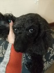 -杉惠素颜美妆皮肤管理中心