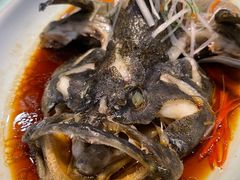 清蒸石斑鱼-鹊华居·地道鲁菜·海鲜·融合味(大明湖店)