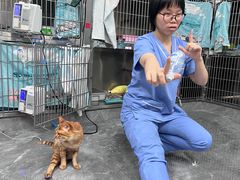 -瑞派宠物医院东莞中心医院·24H转诊·异宠(新河北路院)