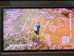 -河北医科大学第四医院(本部)