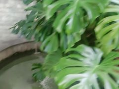 -燕北云山·农家菜·灶台鱼(密云溪翁庄店)