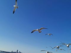 -星海广场