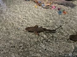 -Zoolung Zoolung动物主题公园(海信广场店)