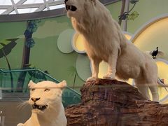 -陕西自然博物馆