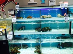 -盒马鲜生(顺义店)