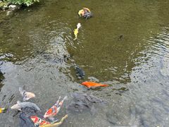 -水前寺成趣园