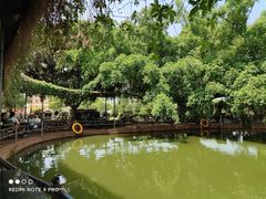 -侯臣咖啡文化村