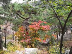 -崂山巨峰游览区