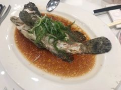 -稻香(马头围道店)