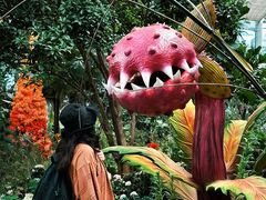 -沈阳植物园