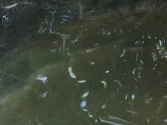 -华侨城阳宗海海景温泉