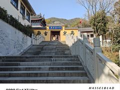 -杭州半山国家森林公园