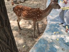 -南戴河国际娱乐中心