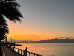 -深圳湾公园(南山区)