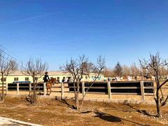 -北京群众马术培训基地