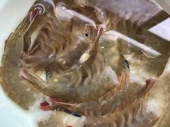 -朱氏胖子烂火锅(洪崖洞店)