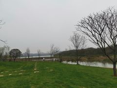 -盘龙城国家考古遗址公园