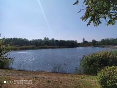 -永定河休闲森林公园