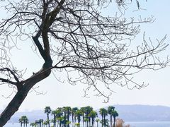-东湖生态旅游风景区