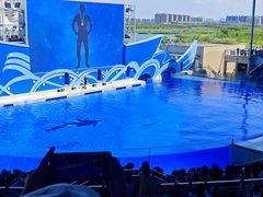 -上海海昌海洋公园