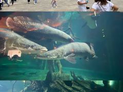 -华夏文旅海洋公园