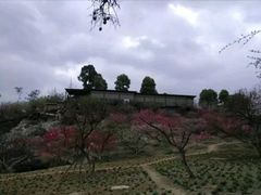 -秀丽东方