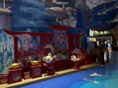 -烟台海昌鲸鲨海洋公园