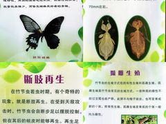 -上海昆虫博物馆