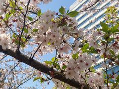 -新天地活力PARK