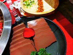 谭公鸭血-谭鸭血老火锅(七宝万科广场店)