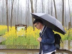 -合肥滨湖国家森林公园