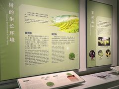 -中国茶叶博物馆(双峰馆区)
