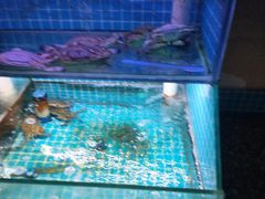 -面道赞宁海海鲜面(迎凤街店)