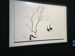 -罗红摄影艺术馆