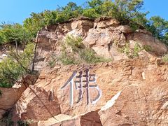 -北京西山国家森林公园