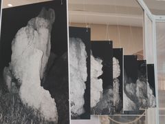 -武汉光谷K11