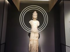 -四川大学博物馆
