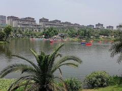 -枫香湖儿童公园