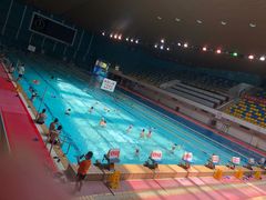 -重庆市奥林匹克体育中心-游泳跳水馆