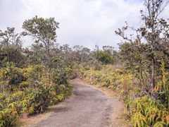 -夏威夷火山国家公园