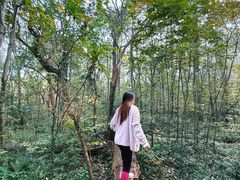 -紫金山山顶公园