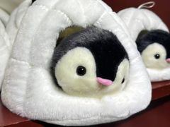 -太平洋海底世界