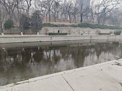 -元大都城垣遗址公园