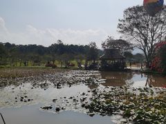 -中国科学院西双版纳热带植物园