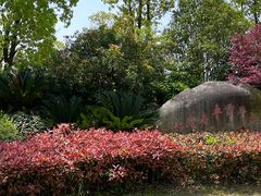 -上海海湾国家森林公园