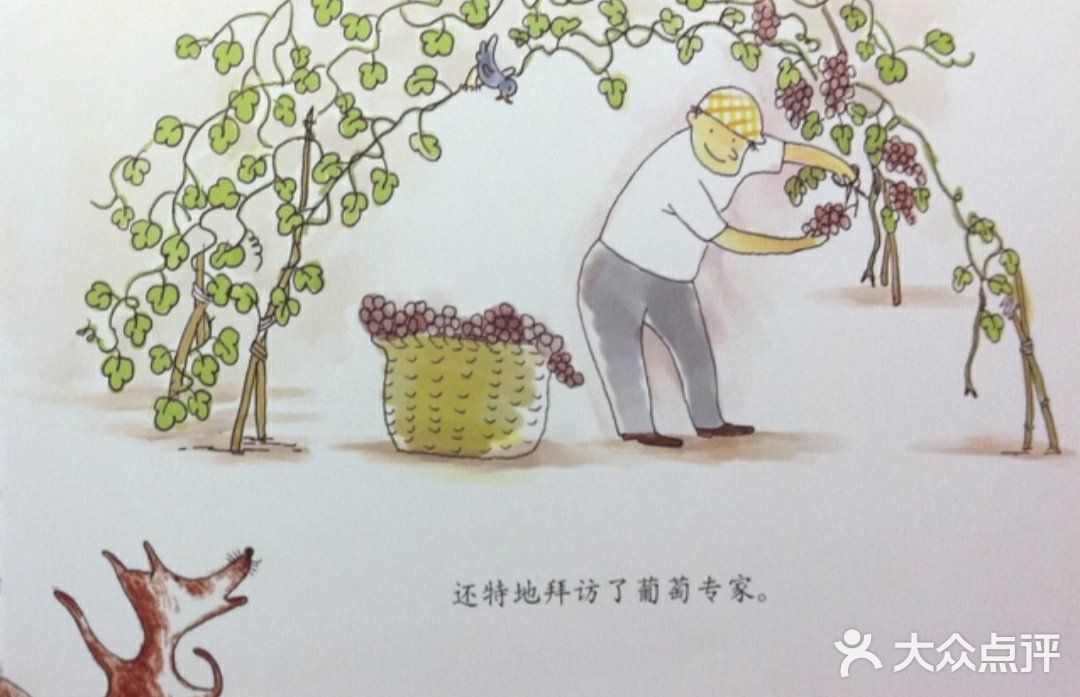 一篇狐狸，葡萄和爱的故事