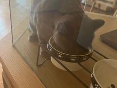 -Me Coffee下午茶艺术空间