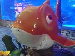 -成都浩海立方海洋公园