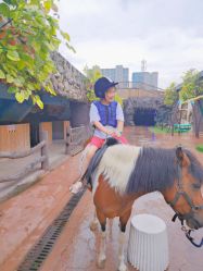 -宝燕乐园(闵行旗舰店)