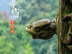 -潭柘寺景区